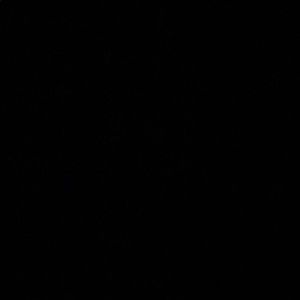 Meet your Posher, Rafael eduardo